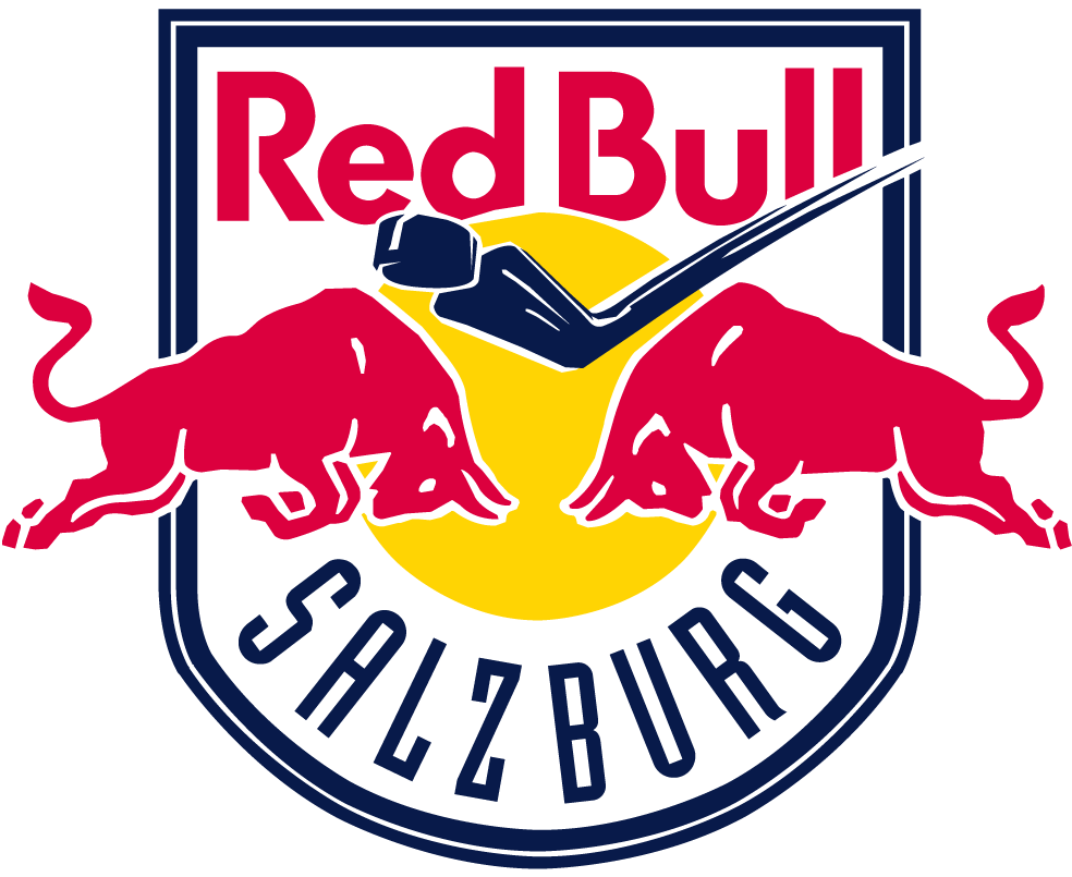Red Bull Salzburg 2013-Pres Primary Logo iron on heat transfer